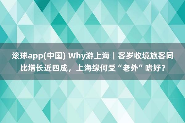 滚球app(中国) Why游上海｜客岁收境旅客同比增长近四成，上海缘何受“老外”嗜好？