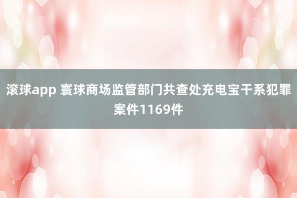 滚球app 寰球商场监管部门共查处充电宝干系犯罪案件1169件