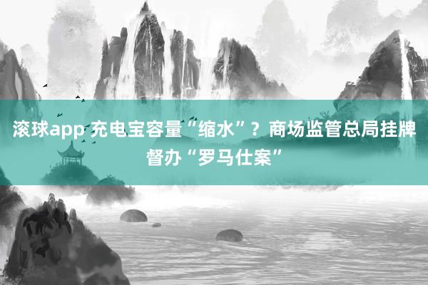滚球app 充电宝容量“缩水”？商场监管总局挂牌督办“罗马仕案”