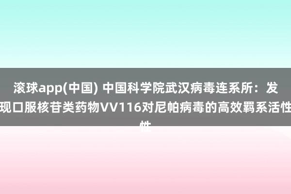滚球app(中国) 中国科学院武汉病毒连系所：发现口服核苷类药物VV116对尼帕病毒的高效羁系活性