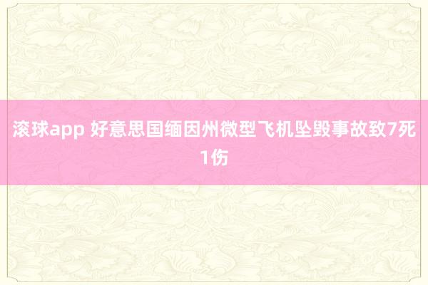 滚球app 好意思国缅因州微型飞机坠毁事故致7死1伤