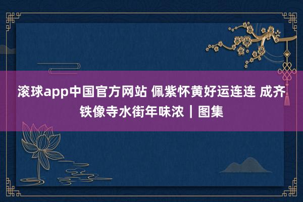 滚球app中国官方网站 佩紫怀黄好运连连 成齐铁像寺水街年味浓｜图集