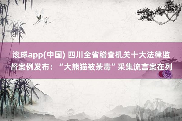 滚球app(中国) 四川全省稽查机关十大法律监督案例发布：“大熊猫被荼毒”采集流言案在列