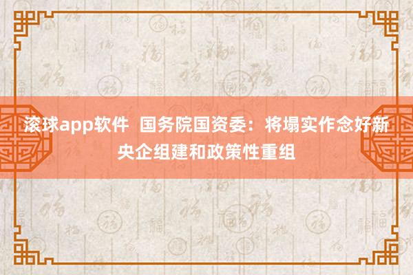 滚球app软件  国务院国资委：将塌实作念好新央企组建和政策性重组