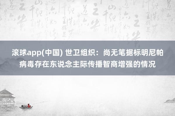 滚球app(中国) 世卫组织：尚无笔据标明尼帕病毒存在东说念主际传播智商增强的情况