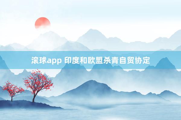 滚球app 印度和欧盟杀青自贸协定