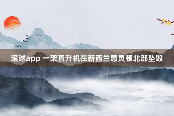 滚球app 一架直升机在新西兰惠灵顿北部坠毁