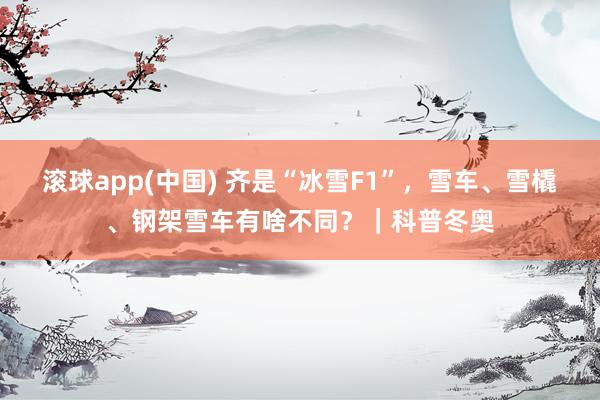 滚球app(中国) 齐是“冰雪F1”，雪车、雪橇、钢架雪车有啥不同？｜科普冬奥