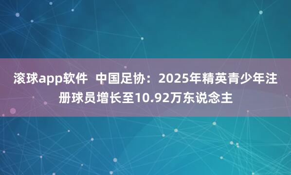 滚球app软件  中国足协：2025年精英青少年注册球员增长至10.92万东说念主