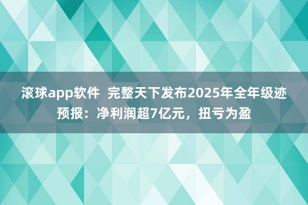 滚球app软件  完整天下发布2025年全年级迹预报：净利润超7亿元，扭亏为盈