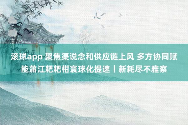 滚球app 聚焦渠说念和供应链上风 多方协同赋能蒲江耙耙柑寰球化提速丨新耗尽不雅察