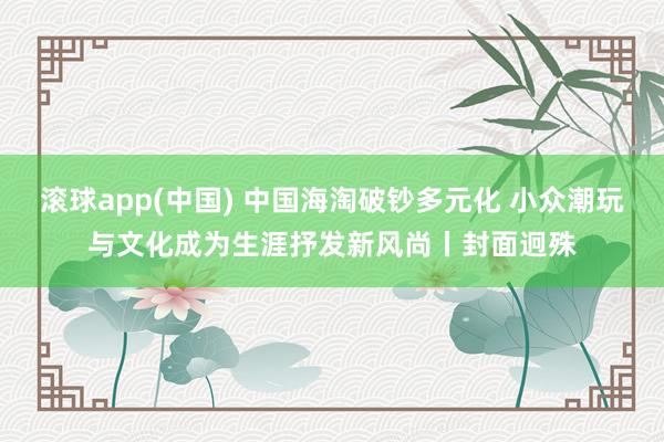 滚球app(中国) 中国海淘破钞多元化 小众潮玩与文化成为生涯抒发新风尚丨封面迥殊