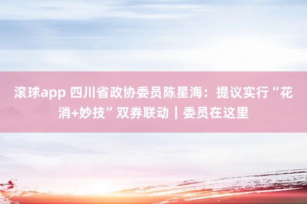 滚球app 四川省政协委员陈星海：提议实行“花消+妙技”双券联动｜委员在这里