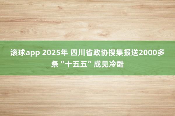 滚球app 2025年 四川省政协搜集报送2000多条“十五五”成见冷酷