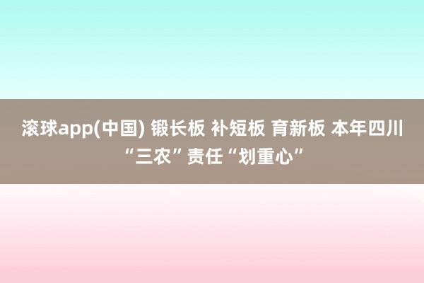 滚球app(中国) 锻长板 补短板 育新板 本年四川“三农”责任“划重心”