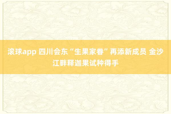 滚球app 四川会东“生果家眷”再添新成员 金沙江畔释迦果试种得手