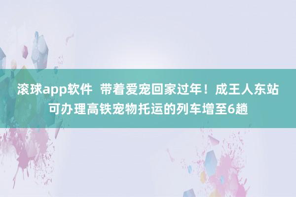 滚球app软件  带着爱宠回家过年！成王人东站可办理高铁宠物托运的列车增至6趟