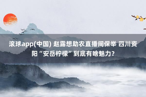 滚球app(中国) 赵露想助农直播间保举 四川资阳“安岳柠檬”到底有啥魅力？