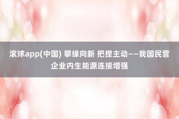 滚球app(中国) 攀缘向新 把捏主动——我国民营企业内生能源连接增强