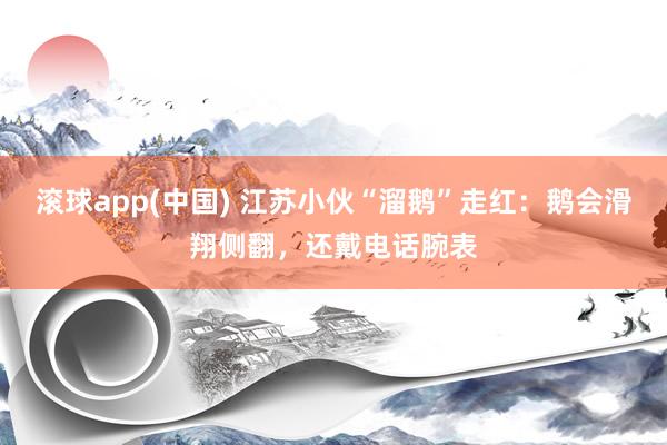 滚球app(中国) 江苏小伙“溜鹅”走红：鹅会滑翔侧翻，还戴电话腕表