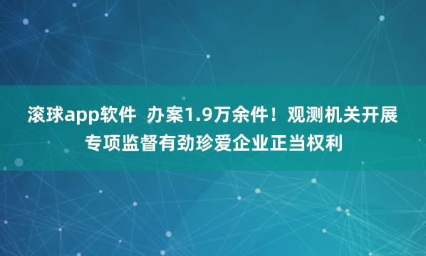 滚球app软件  办案1.9万余件！观测机关开展专项监督有劲珍爱企业正当权利