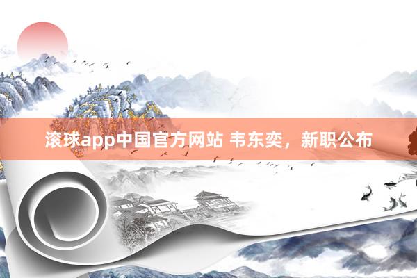 滚球app中国官方网站 韦东奕，新职公布