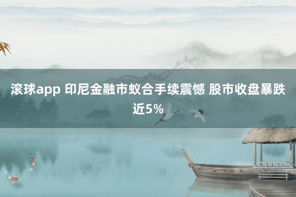 滚球app 印尼金融市蚁合手续震憾 股市收盘暴跌近5%