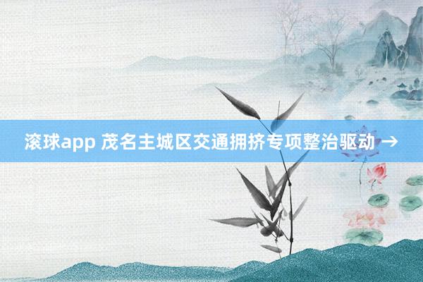 滚球app 茂名主城区交通拥挤专项整治驱动 →