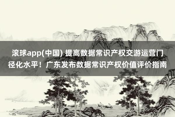 滚球app(中国) 提高数据常识产权交游运营门径化水平！广东发布数据常识产权价值评价指南