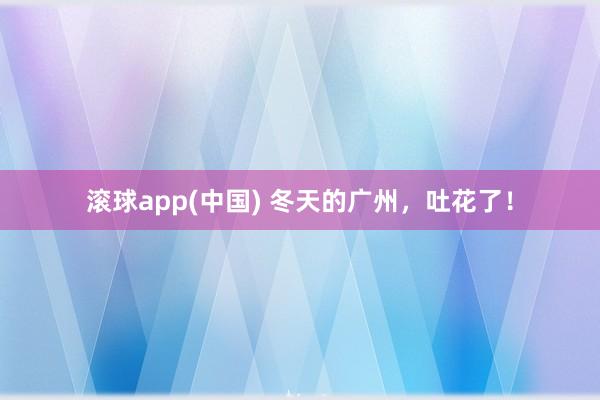 滚球app(中国) 冬天的广州，吐花了！
