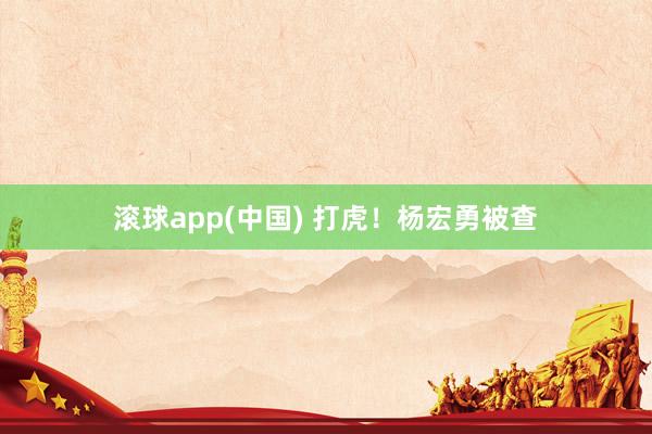 滚球app(中国) 打虎！杨宏勇被查