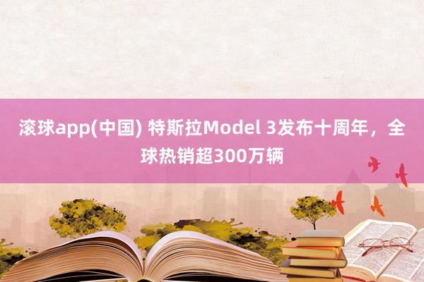 滚球app(中国) 特斯拉Model 3发布十周年，全球热销超300万辆
