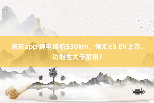 滚球app 纯电续航530km，领汇e5 EV上市，功能性大于家用?