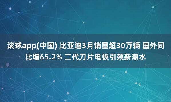 滚球app(中国) 比亚迪3月销量超30万辆 国外同比增65.2% 二代刀片电板引颈新潮水
