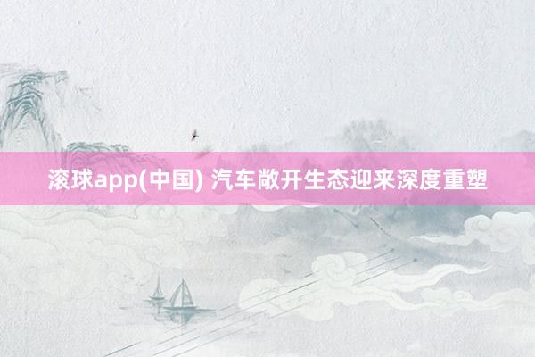 滚球app(中国) 汽车敞开生态迎来深度重塑