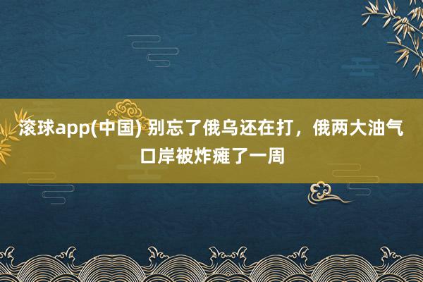 滚球app(中国) 别忘了俄乌还在打，俄两大油气口岸被炸瘫了一周