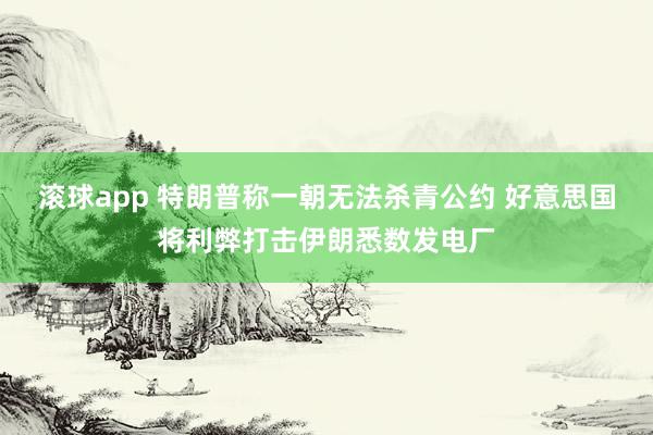 滚球app 特朗普称一朝无法杀青公约 好意思国将利弊打击伊朗悉数发电厂
