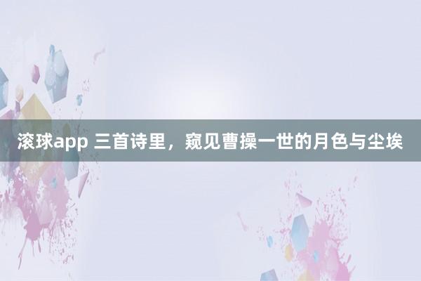 滚球app 三首诗里，窥见曹操一世的月色与尘埃