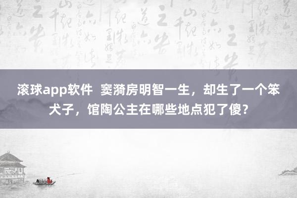 滚球app软件  窦漪房明智一生，却生了一个笨犬子，馆陶公主在哪些地点犯了傻？