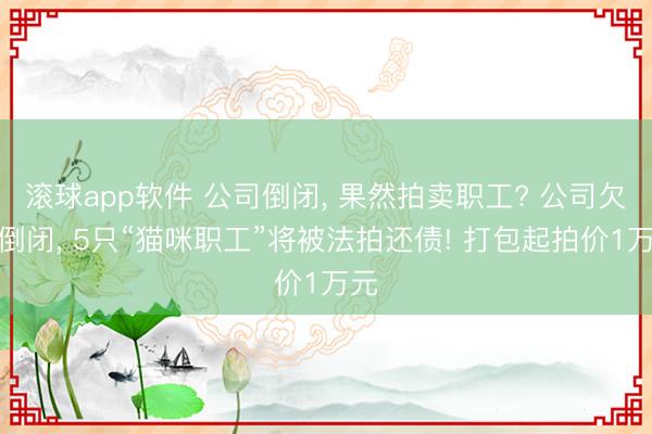 滚球app软件 公司倒闭， 果然拍卖职工? 公司欠债倒闭， 5只“猫咪职工”将被法拍还债! 打包起拍价1万元