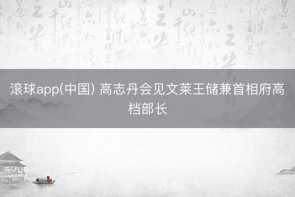 滚球app(中国) 高志丹会见文莱王储兼首相府高档部长