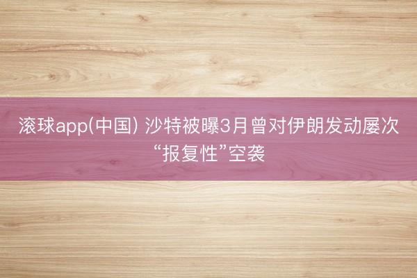 滚球app(中国) 沙特被曝3月曾对伊朗发动屡次“报复性”空袭