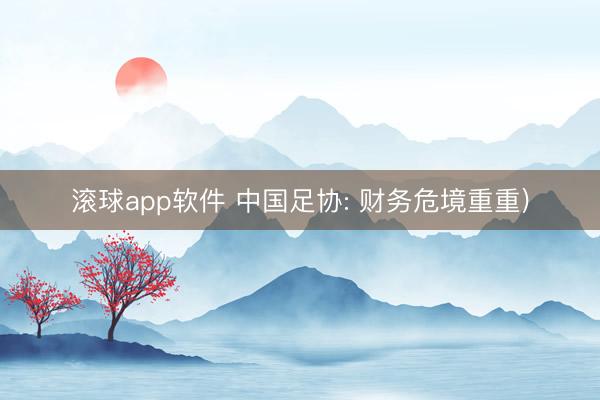 滚球app软件 中国足协: 财务危境重重)