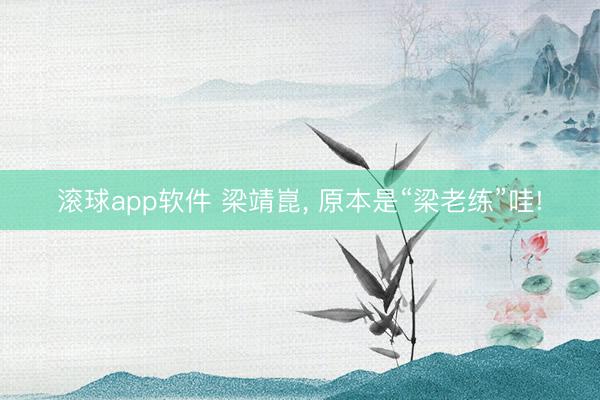 滚球app软件 梁靖崑， 原本是“梁老练”哇!
