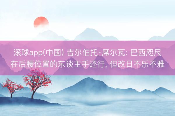 滚球app(中国) 吉尔伯托·席尔瓦: 巴西咫尺在后腰位置的东谈主手还行， 但改日不乐不雅