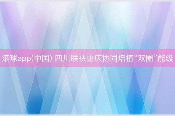 滚球app(中国) 四川联袂重庆协同培植“双圈”能级