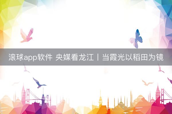 滚球app软件 央媒看龙江丨当霞光以稻田为镜