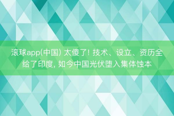 滚球app(中国) 太傻了! 技术、设立、资历全给了印度， 如今中国光伏堕入集体蚀本