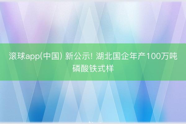 滚球app(中国) 新公示! 湖北国企年产100万吨磷酸铁式样