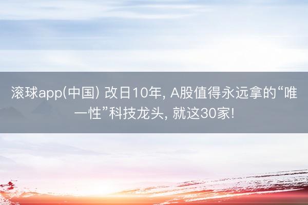 滚球app(中国) 改日10年， A股值得永远拿的“唯一性”科技龙头， 就这30家!